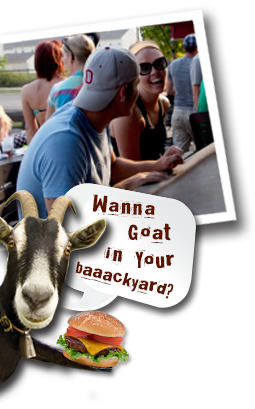 Want a goat in your backyard?